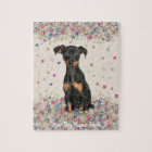 Miniature Pinscher with uncropped ears and undocke