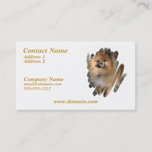 Miniature Pomeranian Dog Business Card