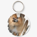 Miniature Pomeranian Keychain