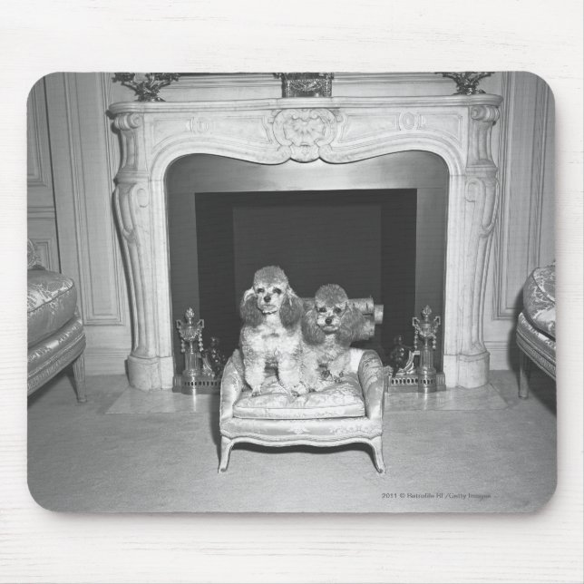 Miniature poodles sitting in front of fireplace mouse pad (Front)