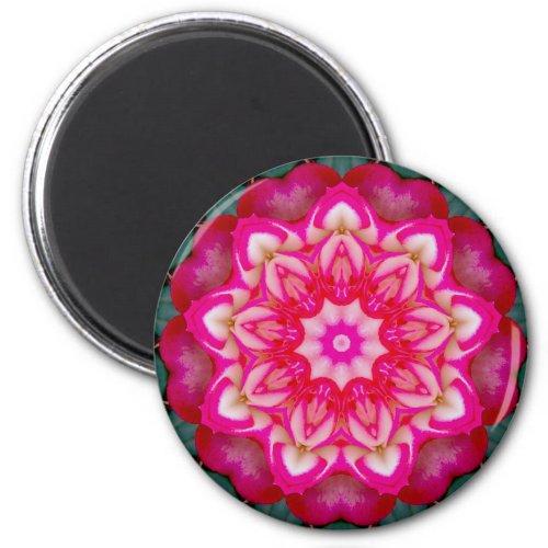  Miniature Rose Fractal  Magnet