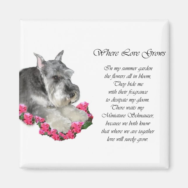 Miniature Schnauzer Art Gifts Magnet (Front)