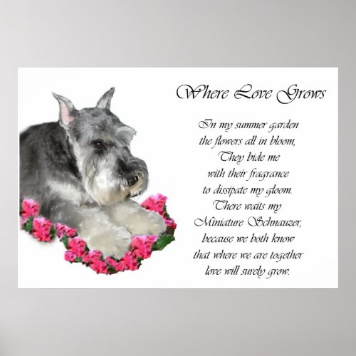 Miniature Schnauzer Art Gifts Prints