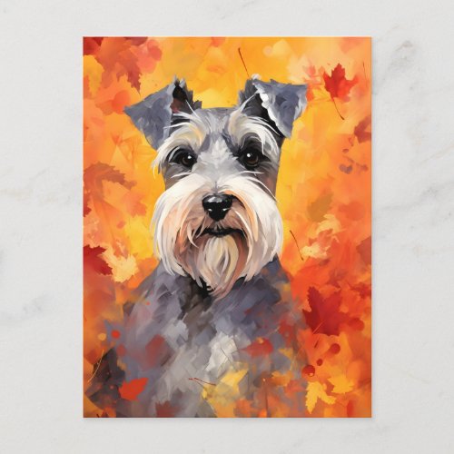 Miniature Schnauzer Autumn Thanksgiving  Postcard