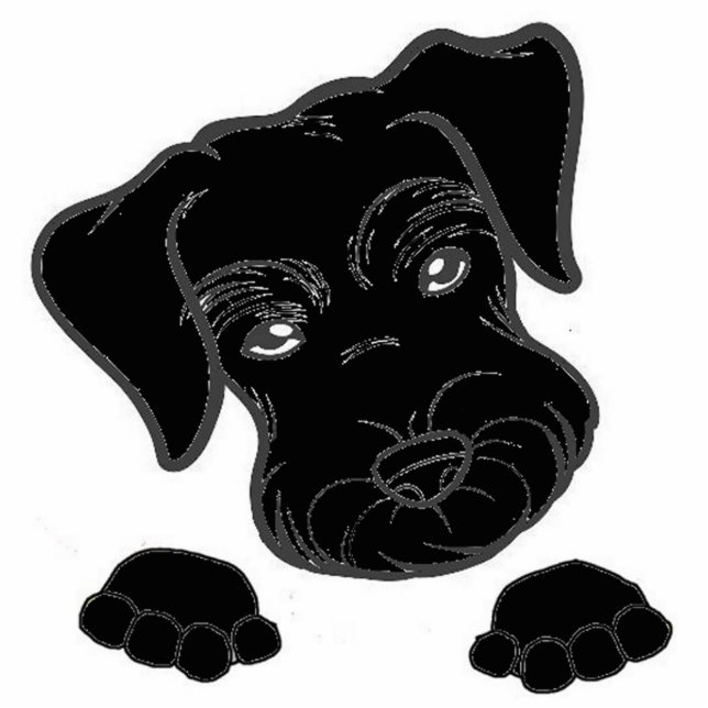 miniature schnauzer black peeking cutout (Front)