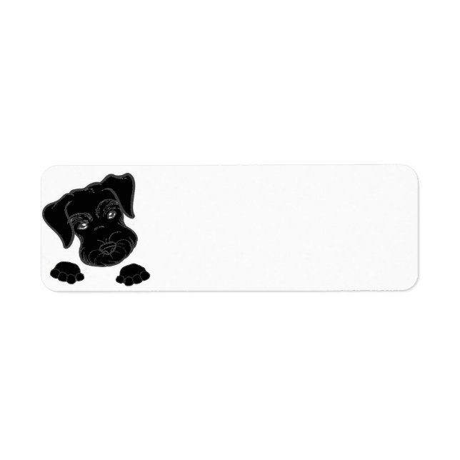 miniature schnauzer black peeking label (Front)