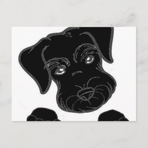 miniature schnauzer black peeking postcard