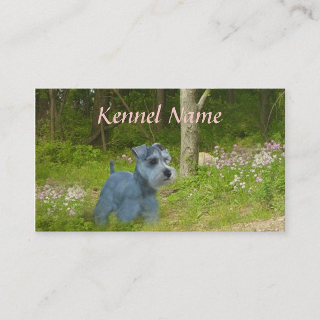 Miniature Schnauzer Breeder Business Card (Front)