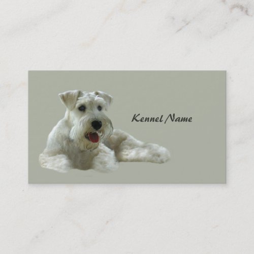 Miniature Schnauzer Breeder Business Card