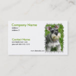 Miniature Schnauzer Business Card