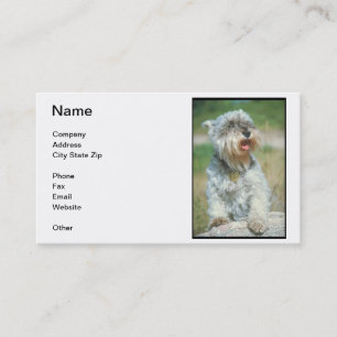 Miniature Schnauzer Business Card