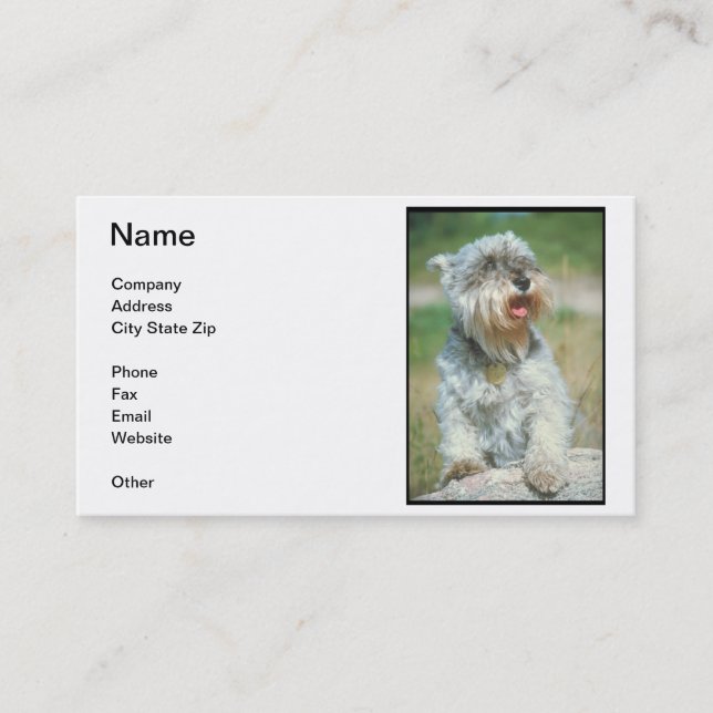 Miniature Schnauzer Business Card (Front)