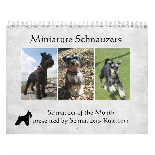 Miniature Schnauzer Calendar (Cover)