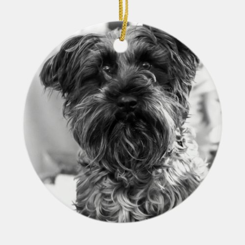 Miniature Schnauzer Ceramic Ornament