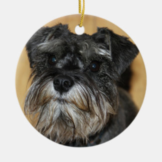 Miniature Schnauzer Ceramic Ornament