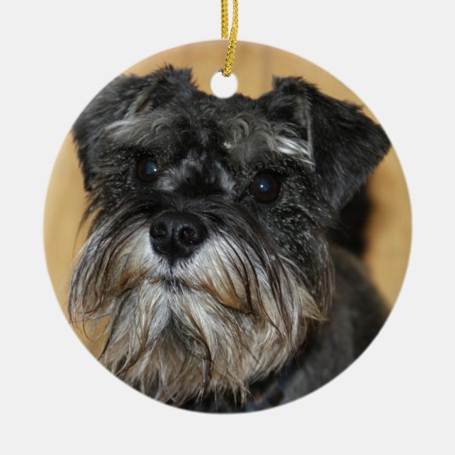 Miniature Schnauzer Ceramic Ornament (Front)
