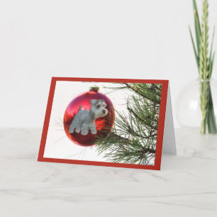 Miniature Schnauzer Christmas Card Ball Hanging