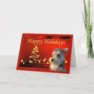 Miniature Schnauzer Christmas Card Stars