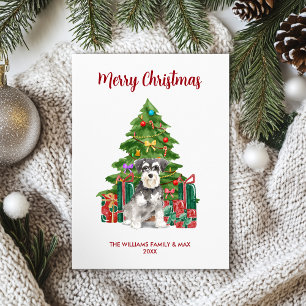 Miniature Schnauzer Christmas Holiday Card