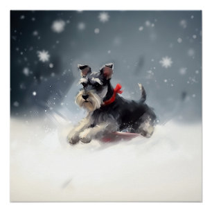 Miniature Schnauzer Christmas snow winter Poster