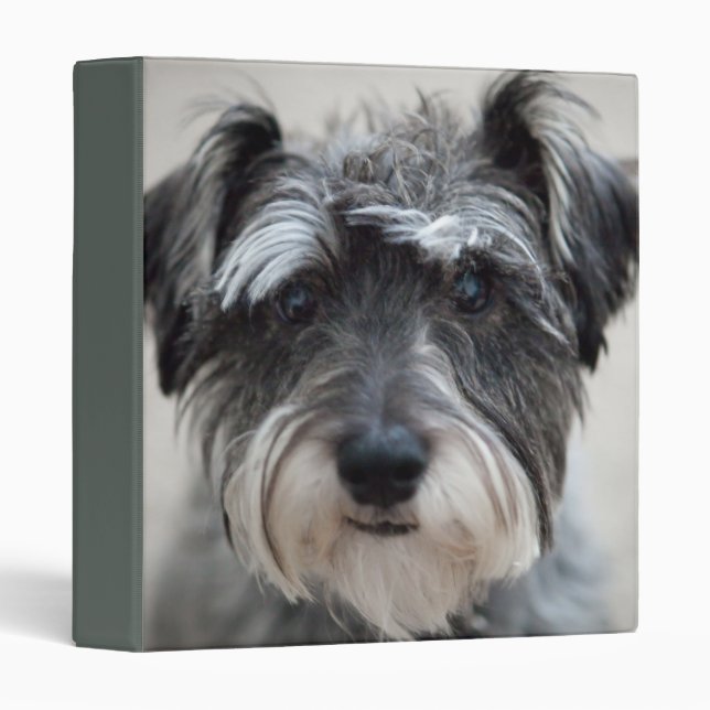 Miniature Schnauzer Dog Binder (Front/Spine)