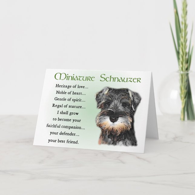 Miniature Schnauzer Gifts Card (Front)
