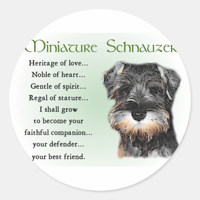 Miniature Schnauzer Gifts Classic Round Sticker (Front)