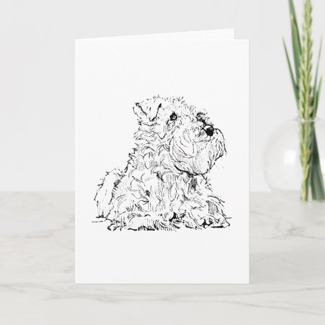 Miniature Schnauzer Greeting Card Dog Illustration (Front)
