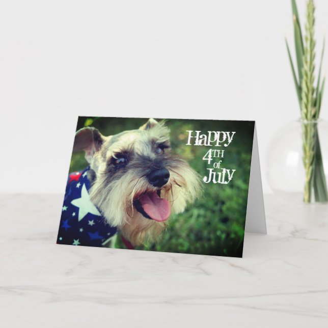 Miniature Schnauzer Happy 4th of July Card (Front)