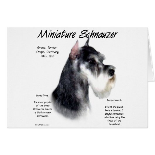 Miniature Schnauzer History Design (Front Horizontal)