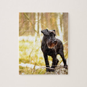miniature-schnauzer jigsaw puzzle