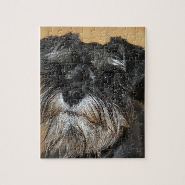 Miniature Schnauzer Jigsaw Puzzle (Vertical)