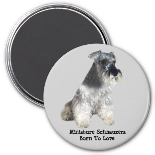 Miniature Schnauzer Magnet