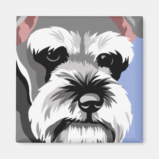 Miniature Schnauzer Magnets