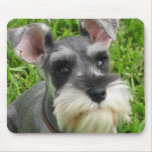 Miniature Schnauzer Mouse Pad