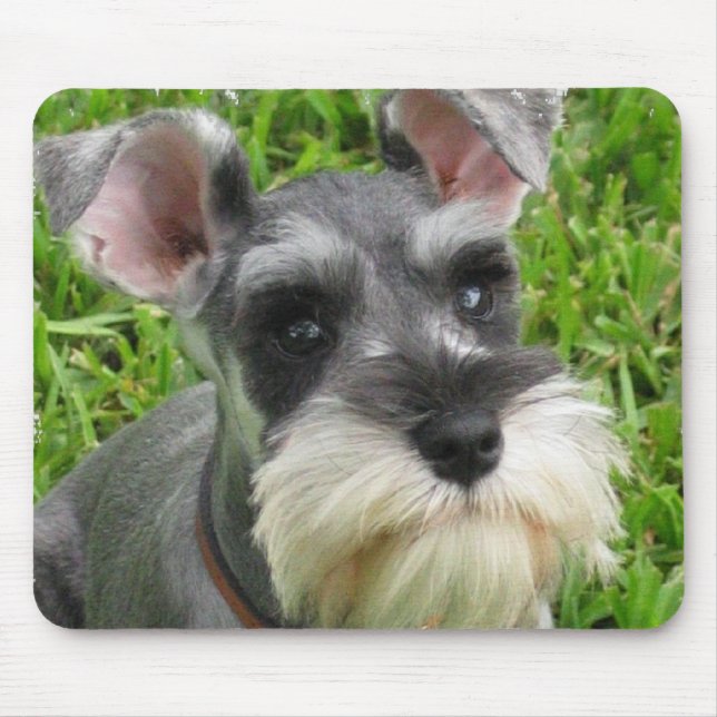 Miniature Schnauzer Mouse Pad (Front)