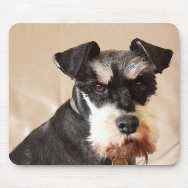 miniature schnauzer mouse pad (Front)