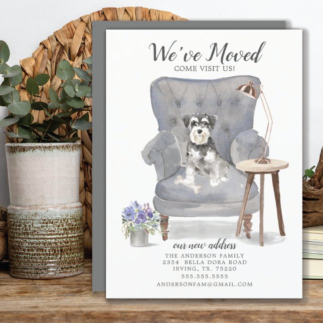 Miniature Schnauzer Moving Announcement (Creator Uploaded)