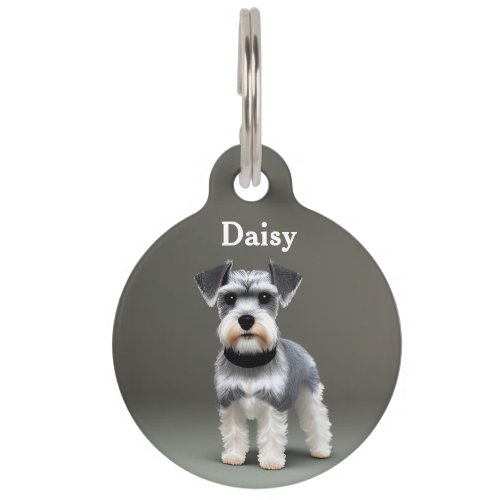 Miniature Schnauzer Personalize Pet ID Tag