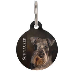 Miniature Schnauzer Pet ID Tag