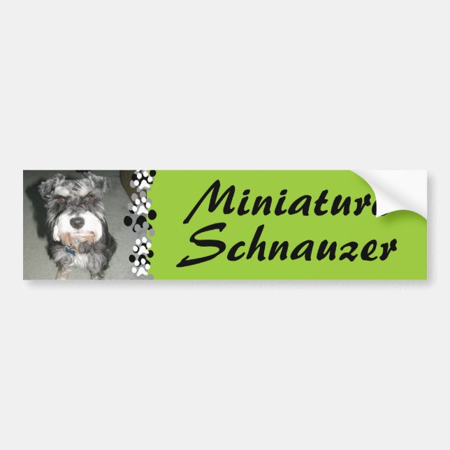 Miniature Schnauzer Photo Bumper Sticker (Front)