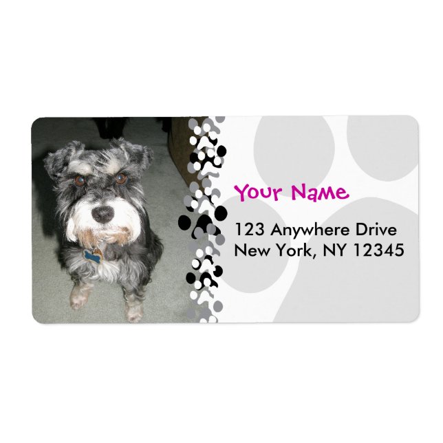 Miniature Schnauzer Photo Label (Front)