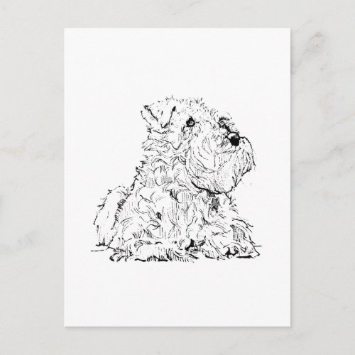 Miniature Schnauzer Postcard – Dog Illustration