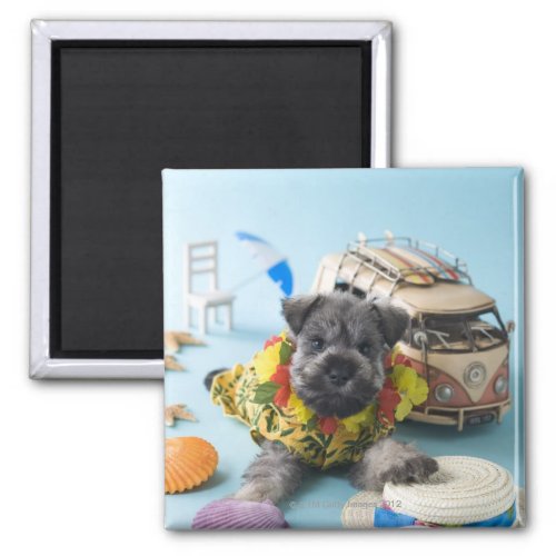 Miniature Schnauzer Puppy and Summer Vacation Magnet