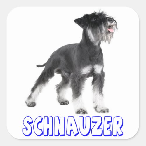 Miniature Schnauzer Puppy Dog Blue Sticker