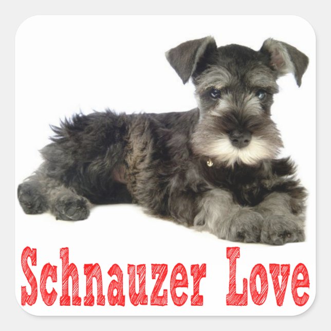 Miniature Schnauzer Puppy Dog Love Red Sticker (Front)