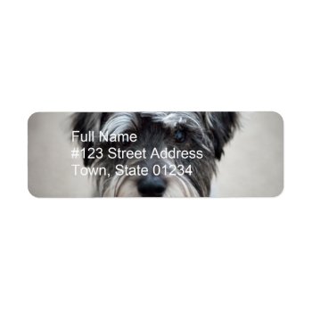 Miniature Schnauzer Return Address Label by DogPoundGifts at Zazzle