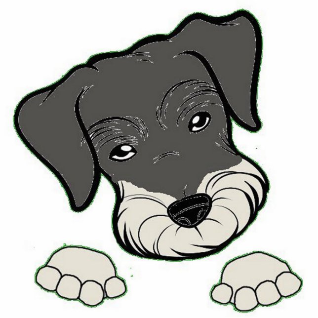 miniature schnauzer salt and pepper peeking cutout (Front)