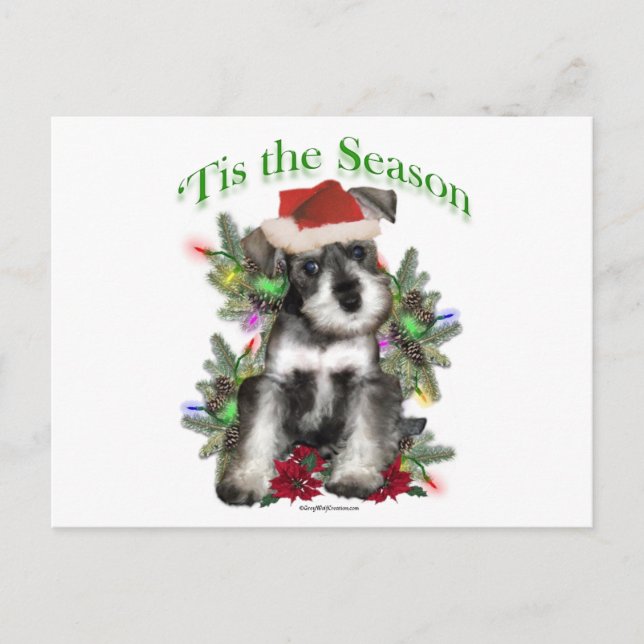 Miniature Schnauzer ‘Tis Postcard (Front)