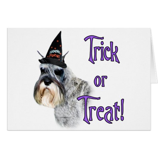 Miniature Schnauzer Trick Cards (Front Horizontal)